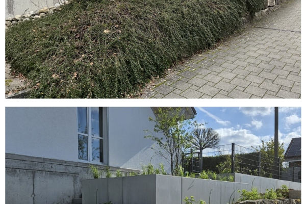 vorher_nachher